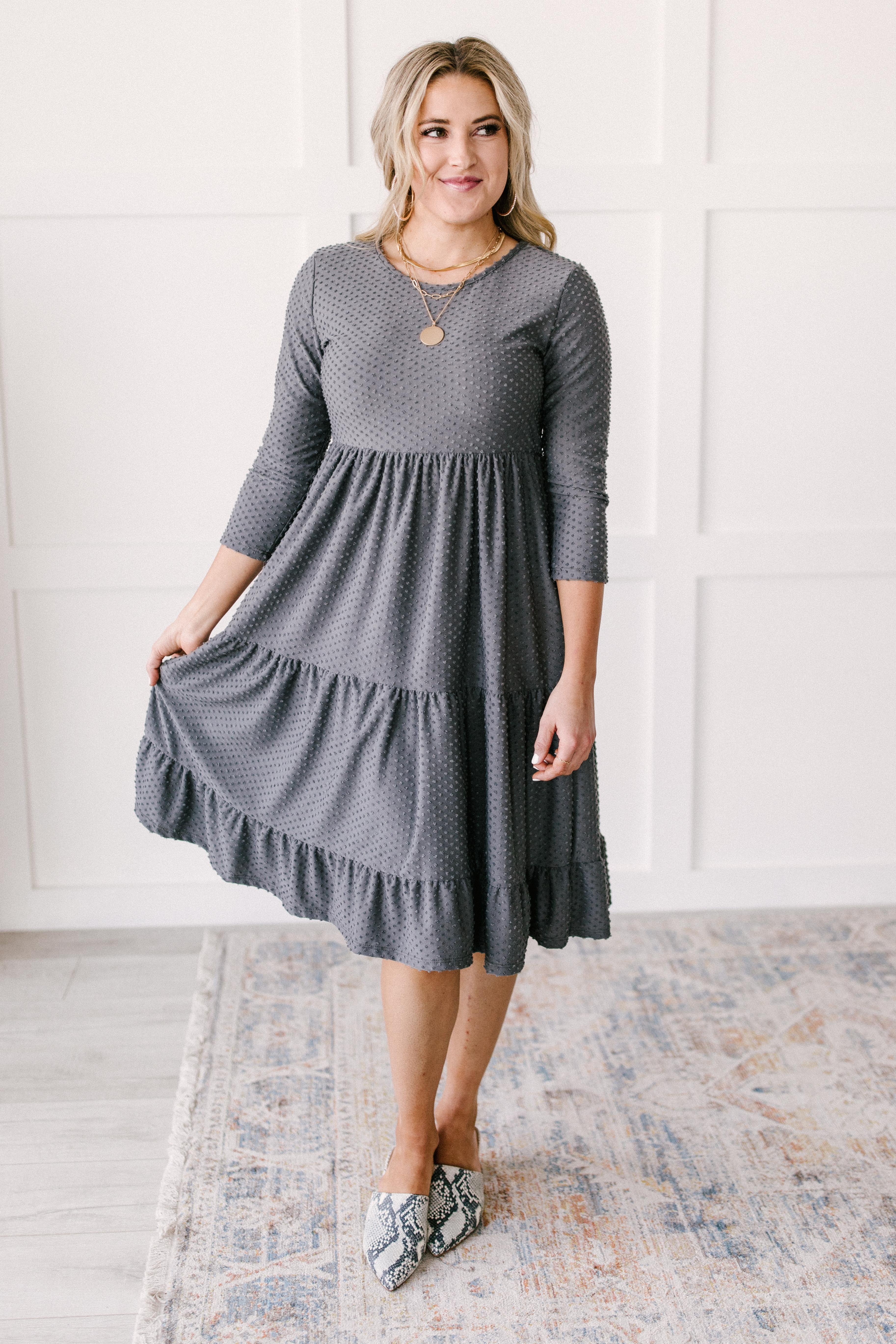 Sara Swiss Dot Dress in Gray